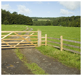 Rural Land Rural Land